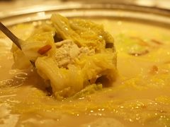 白菜炖老豆腐-金狮麟·新豫菜(金码大厦店)