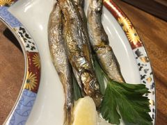 -森味薪火烧•烧鸟居酒屋•日本料理(望京店)