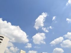-山东大学(千佛山校区)