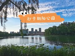景点-朝阳公园