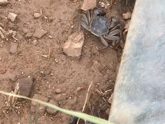 -东方华地城湿地温泉度假区