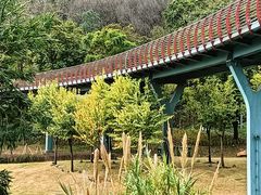 -王借岗森林公园