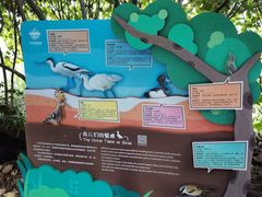 -华侨城湿地公园