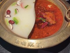 -熊喵来了火锅(太原里第2分店)