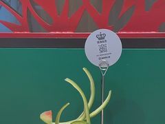 -海底捞火锅(创意园店)