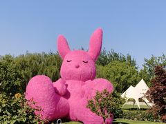 -大望京公园
