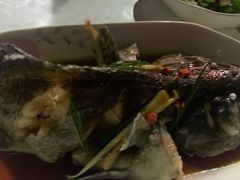 龙胆鱼-阿尔法海鲜排档(爱琴海店)