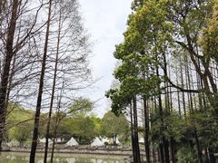-上海影视乐园