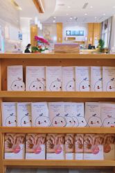 -北京嘉禾医疗