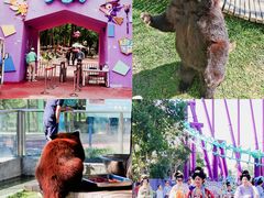 -水上乐园·欢乐世界