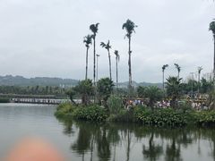 -枫香湖儿童公园