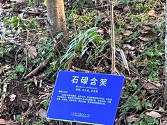 -广州市石门国家森林公园