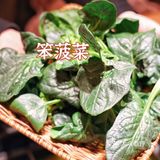 年末聚餐不知道去哪里?当然【巴奴毛肚火锅】!