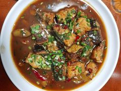 -全乐鱼馆·淳牌有机鱼直营店
