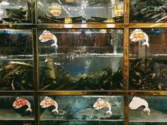 -三道苗苗鱼·美蛙黄辣丁(八里店)