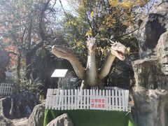 -昆明动物园