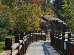 -溱湖国家湿地公园