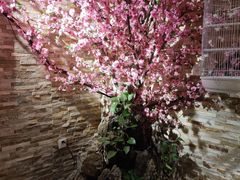 -鸥迪足道(老虎滩店)