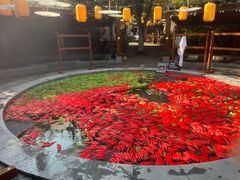 -天目湖御水温泉·度假酒店