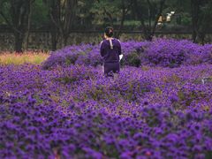 -圆明园遗址公园-藻园门售票处