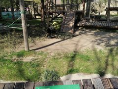 -上海野生动物园