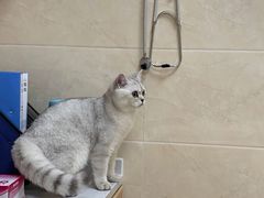 -贝利宠物医院·骨科·眼科·肿瘤转诊中心(南坪诊疗中心)