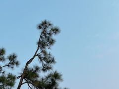 -板樟山森林公园