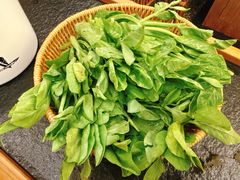 -季季山·云南野生菌火锅(上海首店)