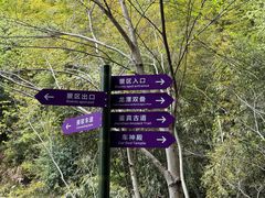 -众神白水涧景区