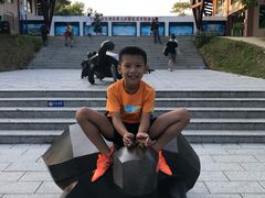 -广东惠东海龟国家级自然保护区