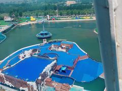 -秦皇岛乐岛海洋王国