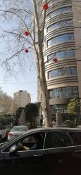 -河南中医药大学第一附属医院-医疗整形