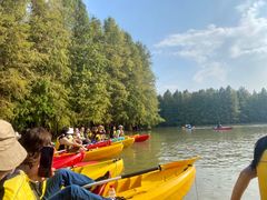 -上海海湾国家森林公园