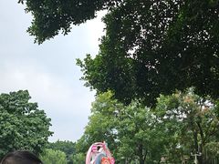 -南湖梦幻岛