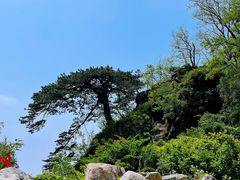 -泰山风景名胜区
