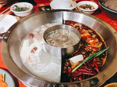 -谭鸭血老火锅(娄星区长青街店)