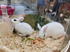 -万润国际酒店用品市场