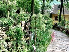 -云丘山景区