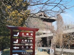-善化寺