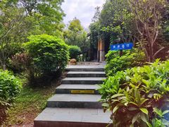 -森波拉火山温泉