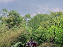 -梧桐山风景名胜区