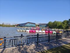 -上海长兴岛郊野公园