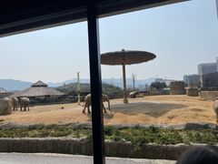 -杭州野生动物世界