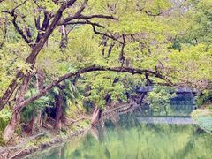-烟台山景区