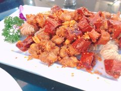 -云中小雅