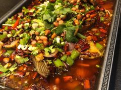 -万重锦·人文川菜馆(骡马市店)