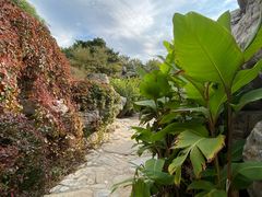 -燕郊植物园