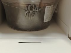 -85度C(上海仓汇路店)