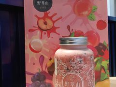 -野萃山·潮汕厚果汁(十亩地店)