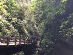 -武隆天坑地缝国家地质公园
